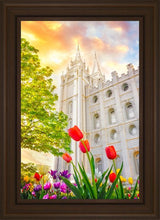 Load image into Gallery viewer, Salt Lake Spring Tulips