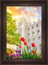 Load image into Gallery viewer, Salt Lake Spring Tulips