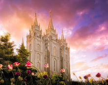 Load image into Gallery viewer, Salt Lake Tulips