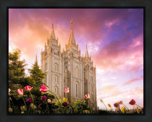 Load image into Gallery viewer, Salt Lake Tulips