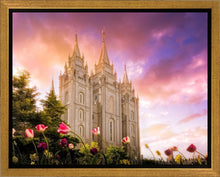 Load image into Gallery viewer, Salt Lake Tulips