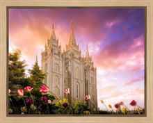 Load image into Gallery viewer, Salt Lake Tulips