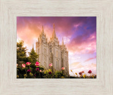 Load image into Gallery viewer, Salt Lake Tulips