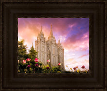 Load image into Gallery viewer, Salt Lake Tulips
