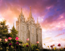 Load image into Gallery viewer, Salt Lake Tulips