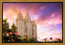 Load image into Gallery viewer, Salt Lake Tulips