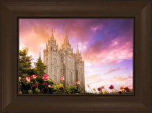 Load image into Gallery viewer, Salt Lake Tulips