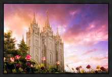 Load image into Gallery viewer, Salt Lake Tulips