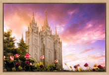 Load image into Gallery viewer, Salt Lake Tulips