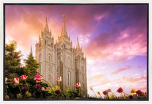 Load image into Gallery viewer, Salt Lake Tulips