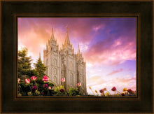 Load image into Gallery viewer, Salt Lake Tulips