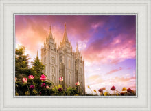 Load image into Gallery viewer, Salt Lake Tulips