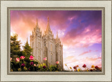 Load image into Gallery viewer, Salt Lake Tulips