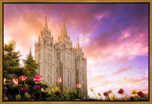 Load image into Gallery viewer, Salt Lake Tulips