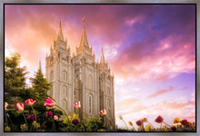 Load image into Gallery viewer, Salt Lake Tulips