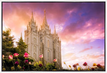 Load image into Gallery viewer, Salt Lake Tulips