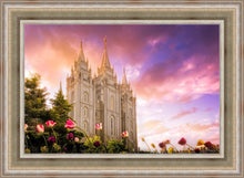Load image into Gallery viewer, Salt Lake Tulips