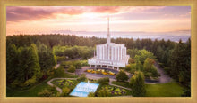Load image into Gallery viewer, Seattle from on High
