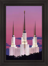 Load image into Gallery viewer, Washington DC Sunset Glow