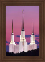 Load image into Gallery viewer, Washington DC Sunset Glow