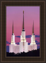 Load image into Gallery viewer, Washington DC Sunset Glow