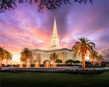 Load image into Gallery viewer, Orlando Sunset