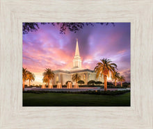 Load image into Gallery viewer, Orlando Sunset