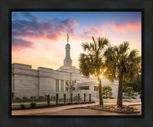 Load image into Gallery viewer, Columbia Palmetto Sunset