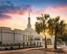 Load image into Gallery viewer, Columbia Palmetto Sunset