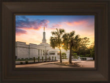Load image into Gallery viewer, Columbia Palmetto Sunset