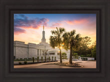 Load image into Gallery viewer, Columbia Palmetto Sunset