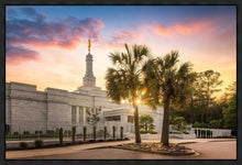 Load image into Gallery viewer, Columbia Palmetto Sunset