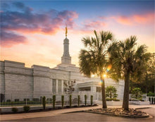 Load image into Gallery viewer, Columbia Palmetto Sunset