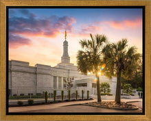 Load image into Gallery viewer, Columbia Palmetto Sunset