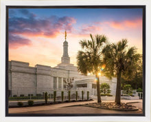 Load image into Gallery viewer, Columbia Palmetto Sunset
