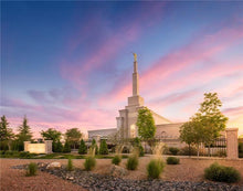 Load image into Gallery viewer, Albuquerque Evening
