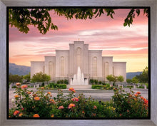 Load image into Gallery viewer, Albuquerque Morning Rose