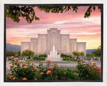 Load image into Gallery viewer, Albuquerque Morning Rose