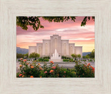 Load image into Gallery viewer, Albuquerque Morning Rose