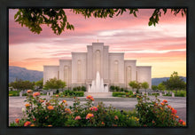 Load image into Gallery viewer, Albuquerque Morning Rose