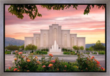Load image into Gallery viewer, Albuquerque Morning Rose