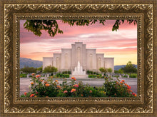 Load image into Gallery viewer, Albuquerque Morning Rose