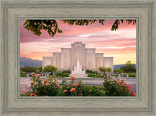 Load image into Gallery viewer, Albuquerque Morning Rose