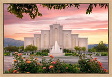 Load image into Gallery viewer, Albuquerque Morning Rose