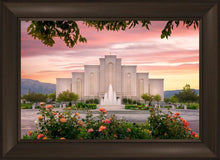 Load image into Gallery viewer, Albuquerque Morning Rose