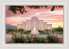 Load image into Gallery viewer, Albuquerque Morning Rose