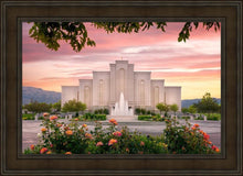 Load image into Gallery viewer, Albuquerque Morning Rose