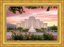 Load image into Gallery viewer, Albuquerque Morning Rose