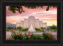 Load image into Gallery viewer, Albuquerque Morning Rose