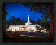 Load image into Gallery viewer, Baton Rouge and the Louisiana Blues